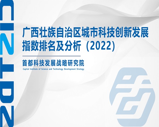 艹逼网免费国产【成果发布】广西壮族自治区城市科技创新发展指数排名及分析（2022）